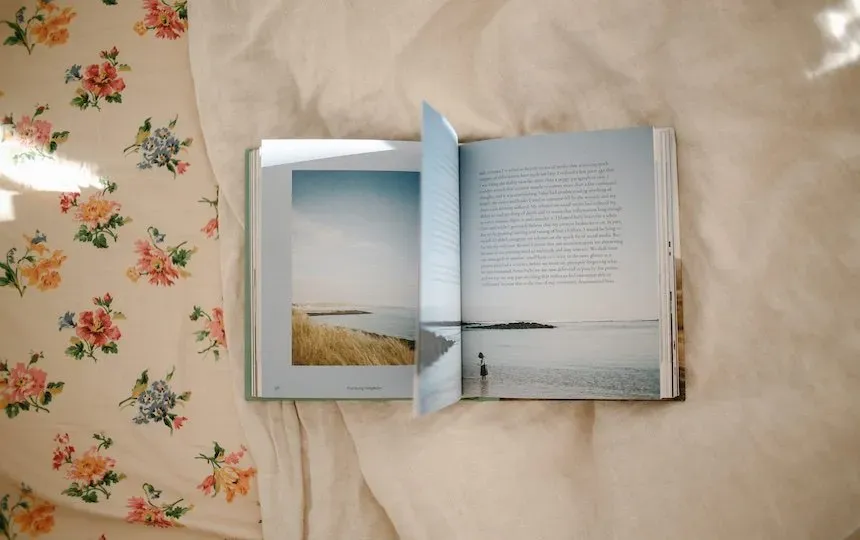 Practising Simplicity: Small Steps and Brave Choices For a Life Less Distracted’ by Jodi Wilson.