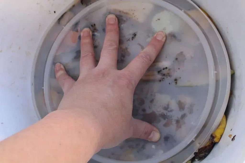 How to make your own bokashi bucket Pip Magazine