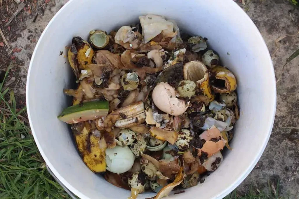 How to make your own bokashi bucket Pip Magazine