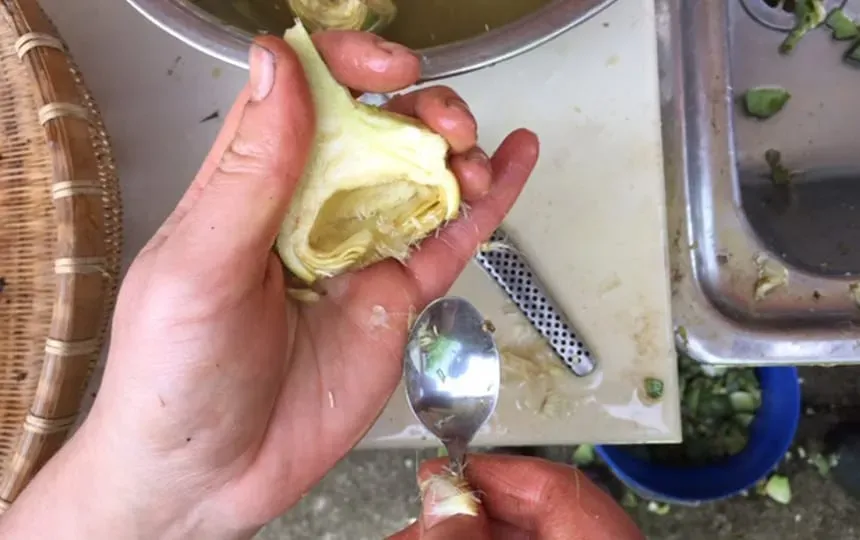 How To Preserve Artichokes Pip Magazine Sustainability
