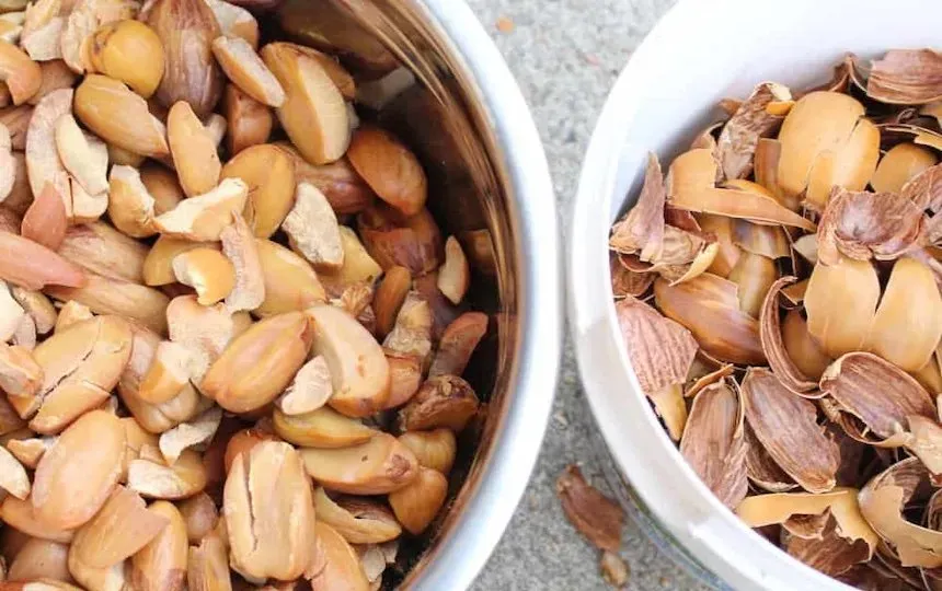 acorn flour recipe
