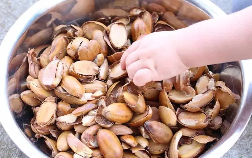 Acorn flour recipe