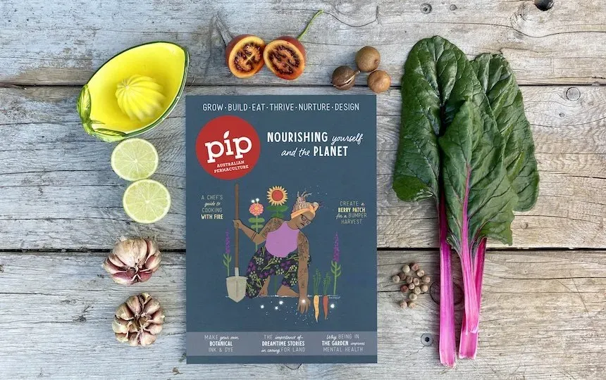 issue 24 pip magazine