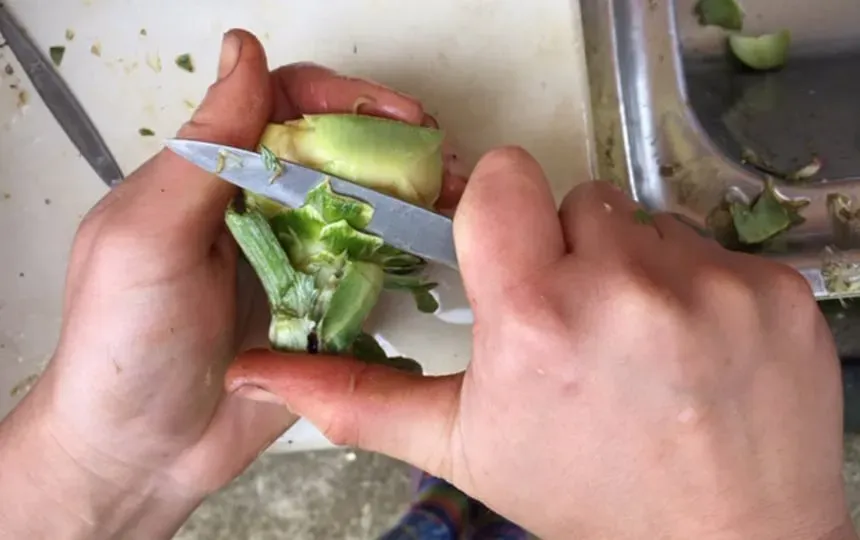 How To Preserve Artichokes Pip Magazine Sustainability