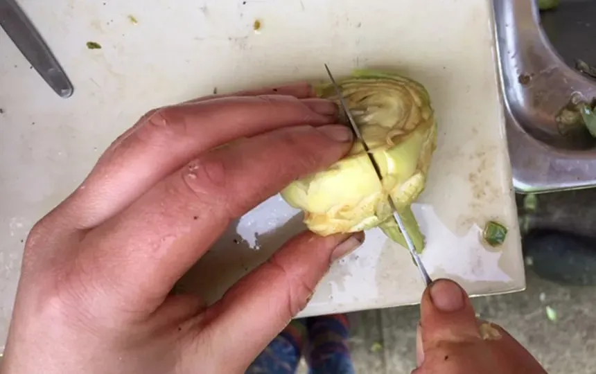 How To Preserve Artichokes Pip Magazine Sustainability