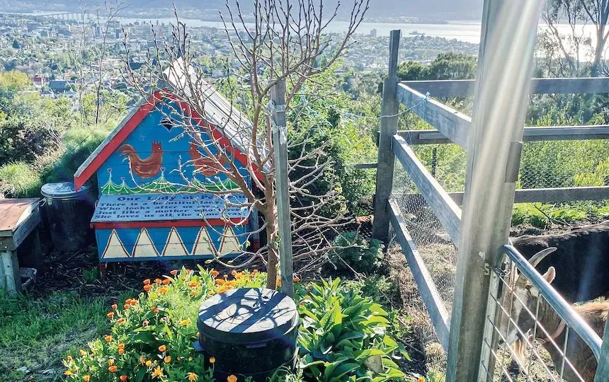 Concevoir une guilde d'arbres fruitiers