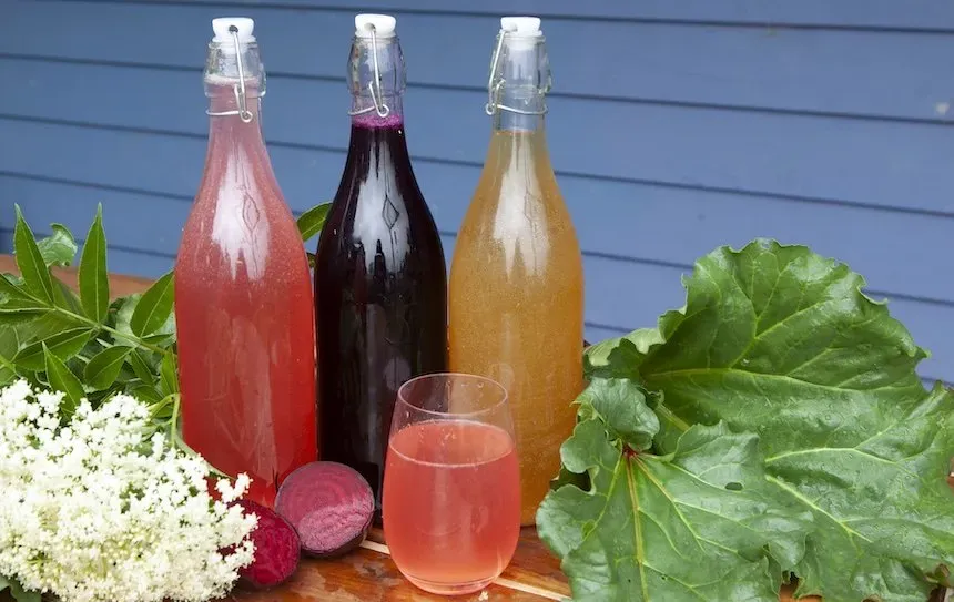 Recettes de boissons fermentées à faible teneur en alcool