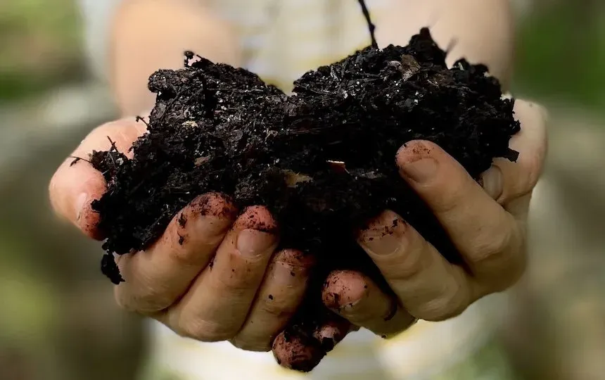 Compostage graines, pépins, cailloux 5