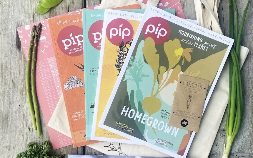 Pip Magazine quatre numéros