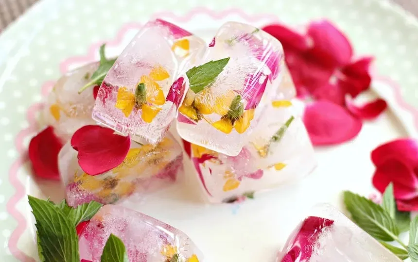 5 Edible Flowers To Grow In Your Garden