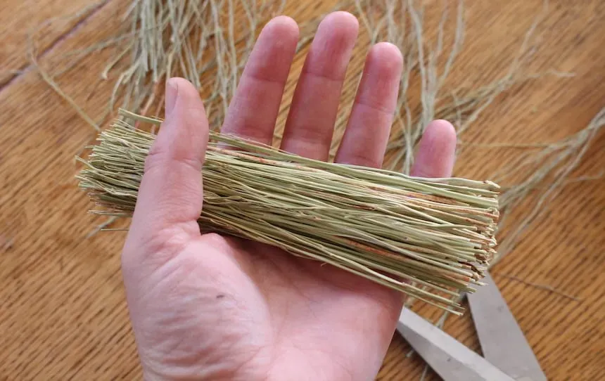 broom millet scrubbing brushes