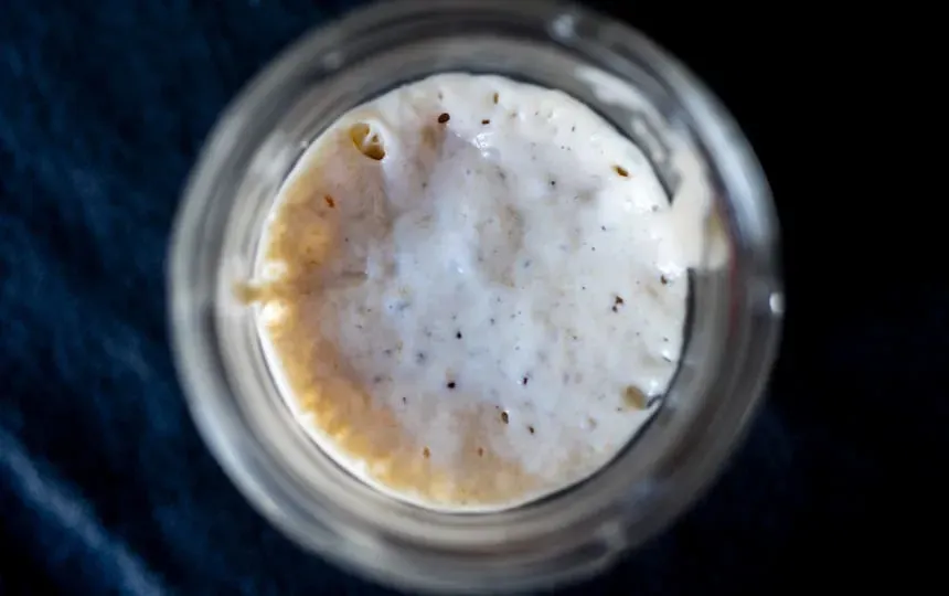How To Care For Your Sourdough Starter When You Go On Holidays by spurekar via Flickr