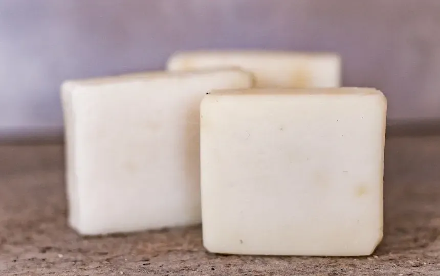 castile soap