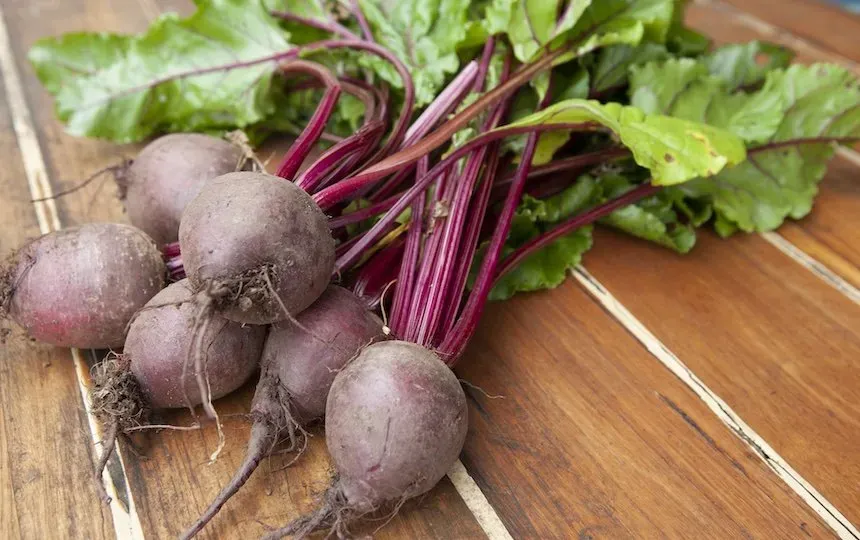 making beetroot kvass