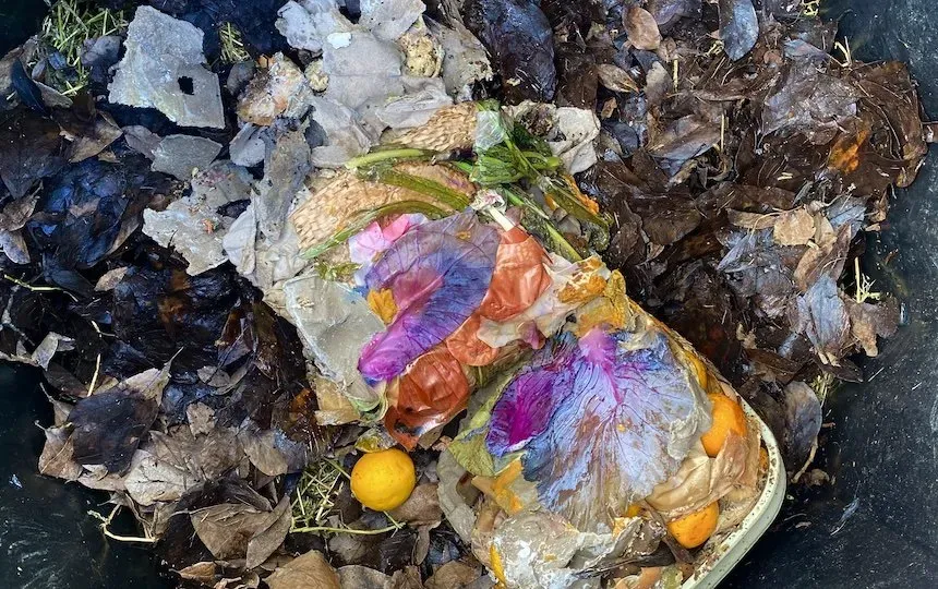 Composting seeds, pips, stones 1
