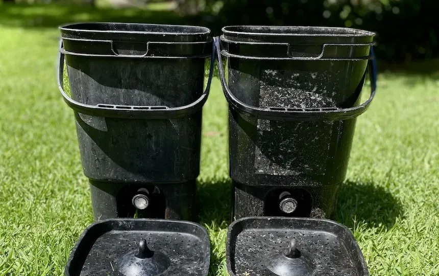 Composting seeds, pips, stones 4