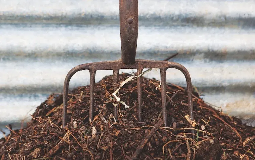 compost pile