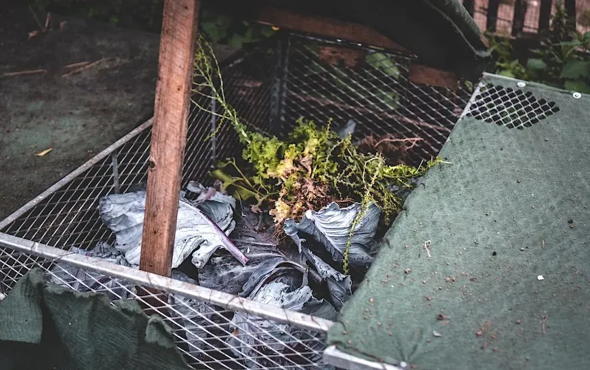 Home composting