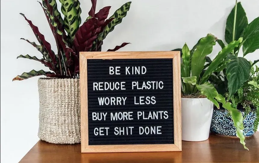 plastic free living