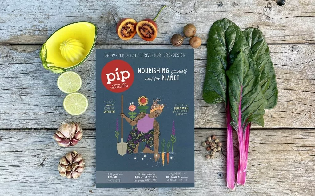 PIP Magazine